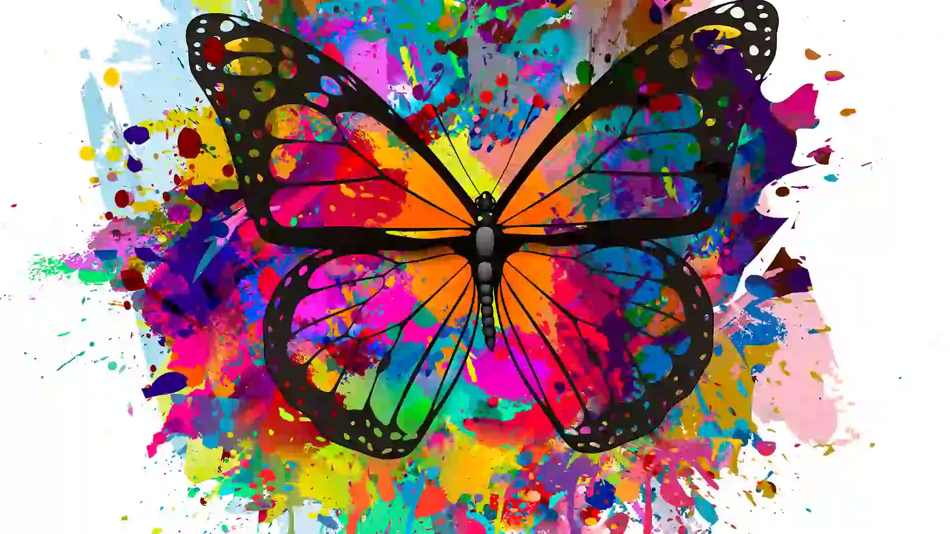 Butterfly Art