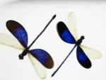 Blue Damselflies in a Frame