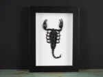 Heterometreus spinifer Scorpion in a Frame