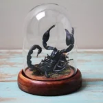 The Majestic Malaysian Scorpion Dome