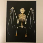 skeleton-of-a-Short-nosed-fruit-bat